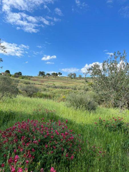 Casa Country Villa Agrigento Exterior foto